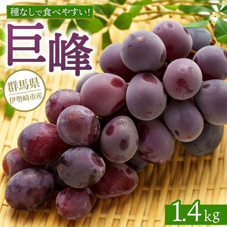 【ふるさと納税】【先行受付】巨峰 1.4kg ※2026年8月上旬～9月上旬頃に順次発送予定 ※離島への配送不可