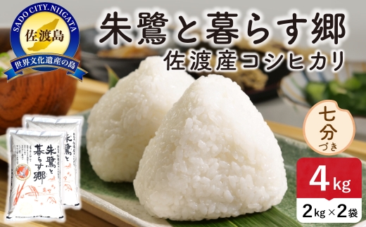 令和8年産 佐渡島産 朱鷺と暮らす郷 七分づき4kg 特別栽培米 | 新潟県産コシヒカリ 佐渡産コシヒカリ 朱鷺と暮らす郷 朱鷺認証米 特別栽培米 お米 米 七分づき おこめ コメ 4キロ にいがた さど 新潟県 佐渡市