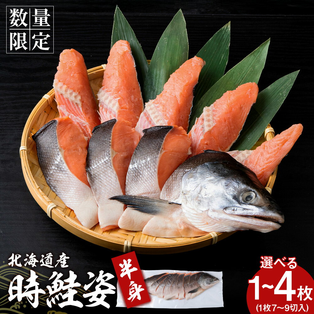 【ふるさと納税】北海道産 時鮭 姿切身 半身 選べる1～4枚 AQ092鮭 さけ サケ 切身 カマ トキシラズ おかず 焼き魚 北海道ふるさと納税 白老 ふるさと納税 北海道