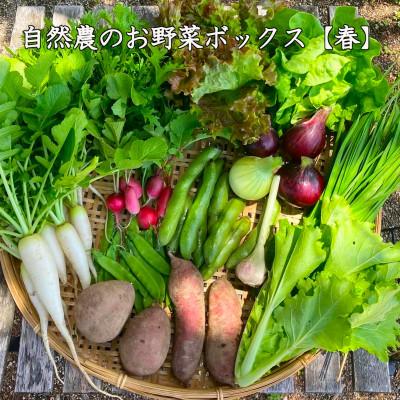 ふるさと納税 小豆島町 【自然農】季節のお野菜セット(約10品) |  | 01