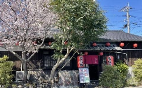 志おや 九州産 うなぎ 白焼 3本 塩 付