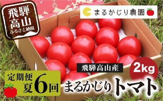 【2025年予約受付】【定期便 3ヶ月】＜全6回（8～10月 毎月2回）飛騨高山産 トマト 『麗月』 2kg | とまと tomato 産地直送 夏 野菜 飛騨高山 まるかじり農園 FW103