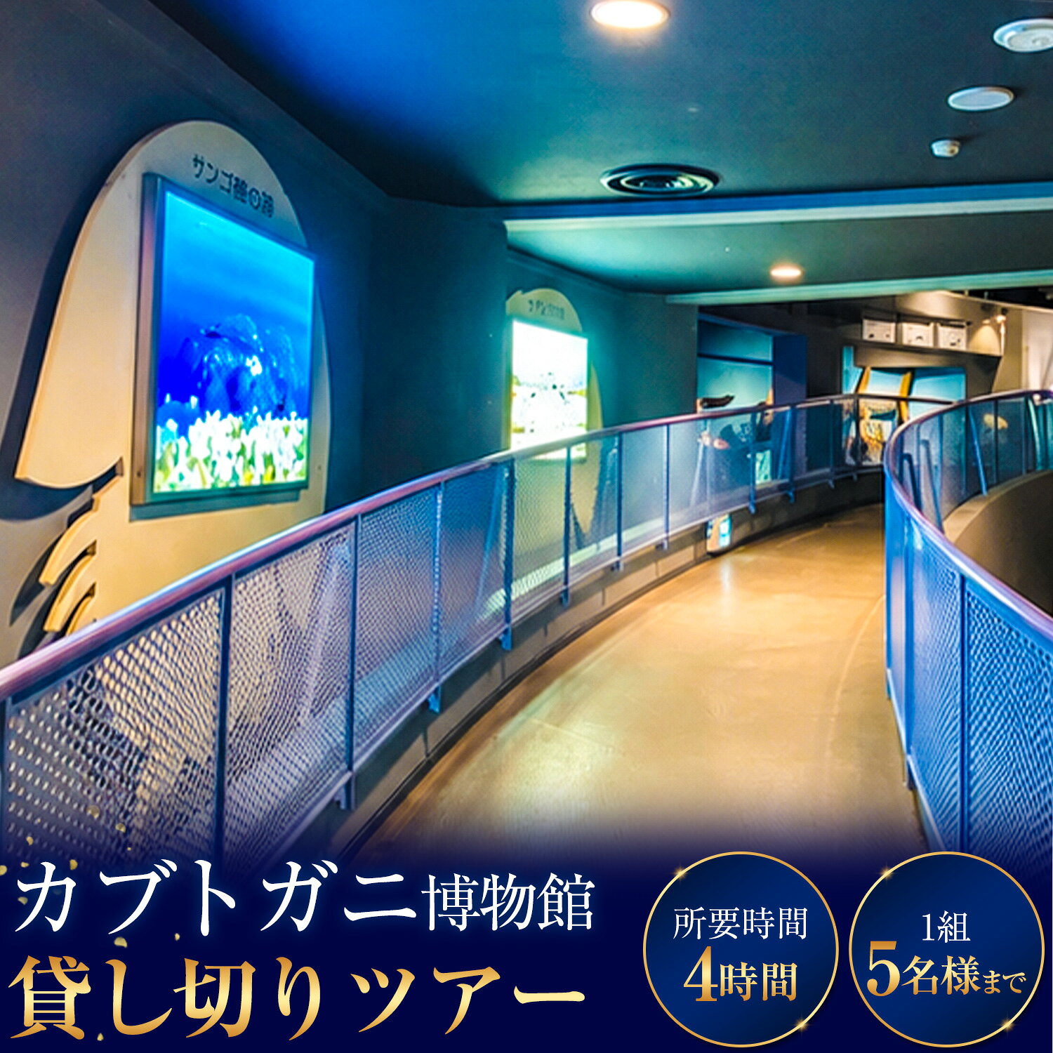 【ふるさと納税】カブトガニ博物館貸し切り！カブトガニづくしツアー 5名様まで カブトガニ博物館《寄附お申し込み約1週間後にご連絡差し上げます(土日祝除く)》岡山県 笠岡市 カブトガニ 博物館 貸し切り 貸切 チケット ツアー 送料無料