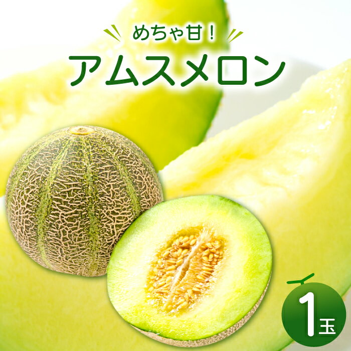 【ふるさと納税】〈先行予約〉 アムスメロン 1玉 メロン 果物 くだもの フルーツ 季節限定 期間限定 早期予約 ギフト 贈答 贈り物 プレゼント
