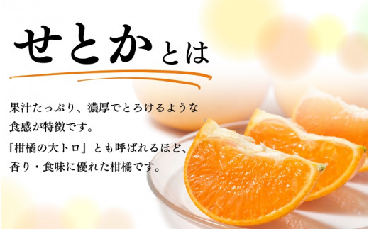 【ご家庭用】紀州和歌山産 せとか 約5kg 【先行予約】※2026年2月上旬頃〜2026年3月中旬頃に順次発送予定(お届け日指定不可)  訳あり みかん ミカン 蜜柑 柑橘 果物 フルーツ 【uot748A】