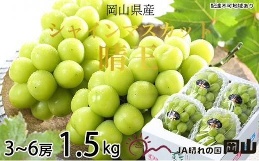 
                  ぶどう 2026年  シャイン マスカット 晴王 3房～6房 約1.5kg ブドウ 葡萄  岡山県産 国産 フルーツ 果物 ギフト
                