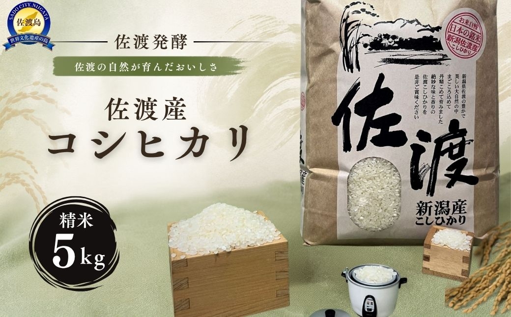 
                  【令和7年産】佐渡産コシヒカリ 精米5kg 外海府海岸沿い産 農薬・化学肥料5割減 JA佐渡の生物多様性農業 | 新潟県産コシヒカリ 新潟産コシヒカリ 佐渡産コシヒカリ 新潟県産こしひかり 佐渡産こしひかり お米 米 こしひかり 白米 精米 おこめ コメ 5キロ 外海府 にいがた さど 新潟県 佐渡市
                