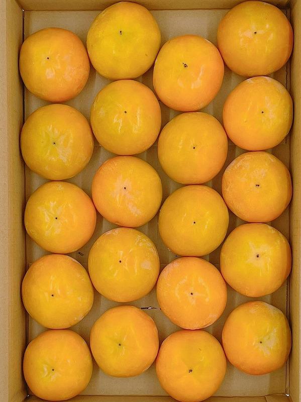 内子町産　富有柿(L~3L)　5kg【北海道・沖縄配送不可】