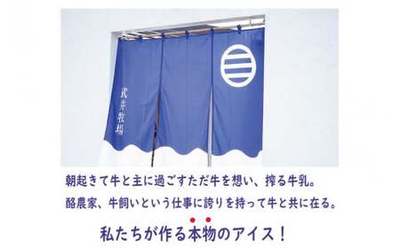 アイス キャンディー 12本 セット 牛乳 お茶 いちご アイスクリーム   ｱｲｽｷｬﾝﾃﾞｨｰ