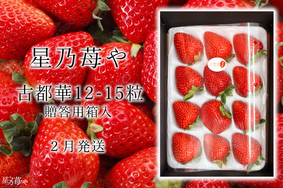 奈良県ブランドいちご 古都華贈答パッケージ1パック2月発送 / 奈良県広陵町古都華生産星乃苺や いちご イチゴ 古都華 奈良