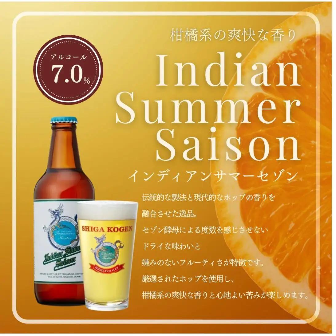 定期便 3ヶ月 クラフトビール 志賀高原ビール 6本 セット 玉村本店 クラフトビール