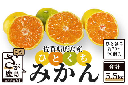 【先行予約】 鹿島 平倉果樹園のひとくちみかん 約5.5kg みかん 温州ミカン 甘くておいしい みかん お勧め みかん  AA-37 