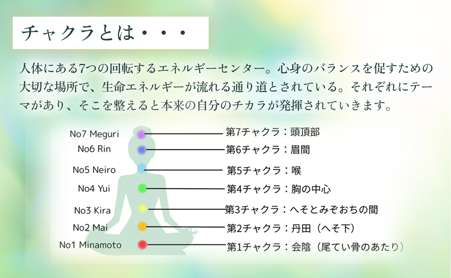 オーガニックハーブティー 無添加 ノンカフェイン No1 Minamoto 大地の光 第1チャクラ 30g（1袋）自然栽培 ギフト プレゼント [012PT001]