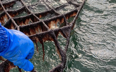 お子様のおやつにも！おにぎりにも！ごはんのお供、カネト海苔水産の「味付のりボトル入り」 ボリュームたっぷり　【初摘み 一番海苔 のり 贈答 ギフト おやつ 味付け海苔 海産物】広島県福山市/カネト海苔