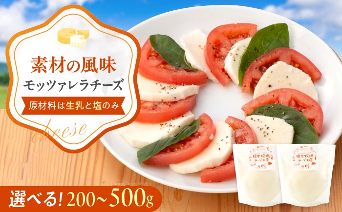 
                  【選べる容量】モッツァレラチーズ 2-5個 / チーズ 生乳 牧場 乳製品 フレッシュチーズ ナチュラルチーズ サラダ カプレーゼ ピザ パスタ おつまみ ワイン 手作りチーズ 小分け 個包装 贈答 ギフト プレゼント 人気 おすすめ / 山口県岩国市/合同会社榎本牧場 [P-BUAO007]
                