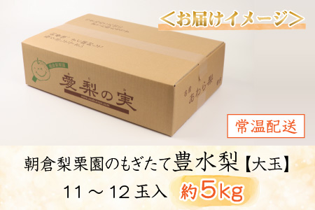 【先行予約】《数量限定》豊水梨【大玉】11～12玉入 約5kg もぎたて 新鮮 ／ 期間限定 果物 フルーツ 農家直送 お取り寄せ 豊水 梨 なし 福井県 あわら市 ※2024年9月上旬より順次発送