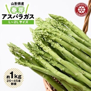 【令和8年産】先行受付!春芽アスパラガス約1kg(L～2Lサイズ 25～45本前後)_野菜 アスパラガス  _【配送不可地域：離島・北海道・沖縄県・信越、北陸・東海・近畿・中国・四国・九州】【1470202】