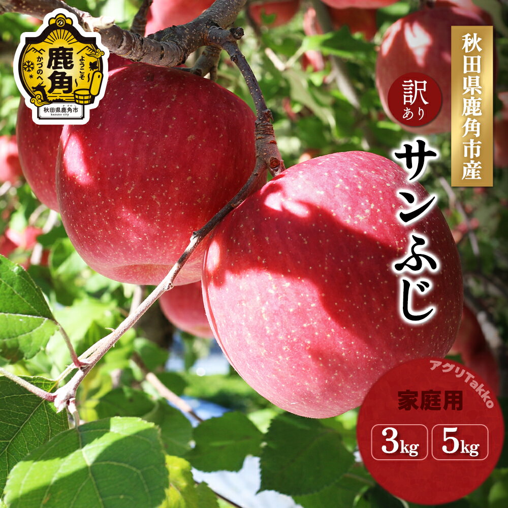 【ふるさと納税】《 先行予約 》 りんご 訳あり 鹿角りんご サンふじ 家庭用 3kg / 5kg フジ ふじ 数量限定 リンゴ 完熟 旬 県産りんご お中元 お歳暮 グルメ ギフト 故郷 秋田 あきた 鹿角市 鹿角 送料無料 【アグリTakko】