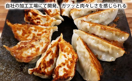 笑顔大吉ポーク 大吉肉餃子 72個 加工品 惣菜 冷凍 豚肉 豚肉屋さん シンプル 黄金比率 おかず おつまみ おやつ お弁当 