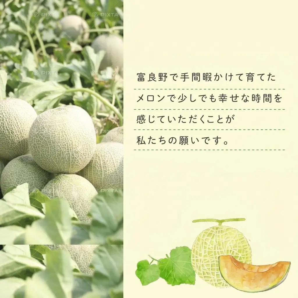 富良野メロン 赤肉 大玉 相馬農園 富良野メロン【1玉 約2kg】