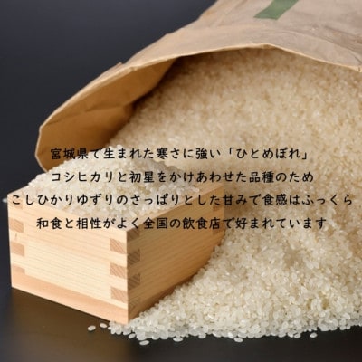 【毎月定期便】宮城県村田町産ひとめぼれ　精米10kg(5kg×2)全3回【4074966】
