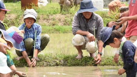 玄米ぽんせん(薄切り･無塩)30g入り5袋セット mi0100-0001-5