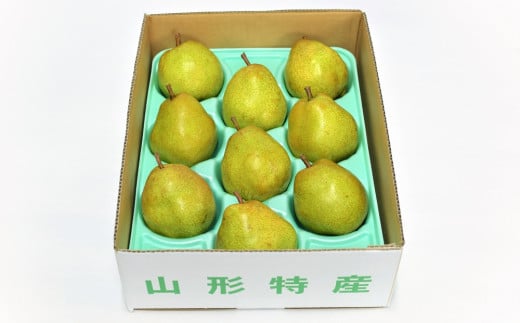 西洋梨（ラ・フランス）６ｋｇ　ご家庭用　0052-2506
