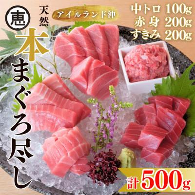 ふるさと納税 三浦市 【まぐろ尽くし】天然本まぐろ詰合せ 500g (中トロ100g、赤身200g、すきみ200g)