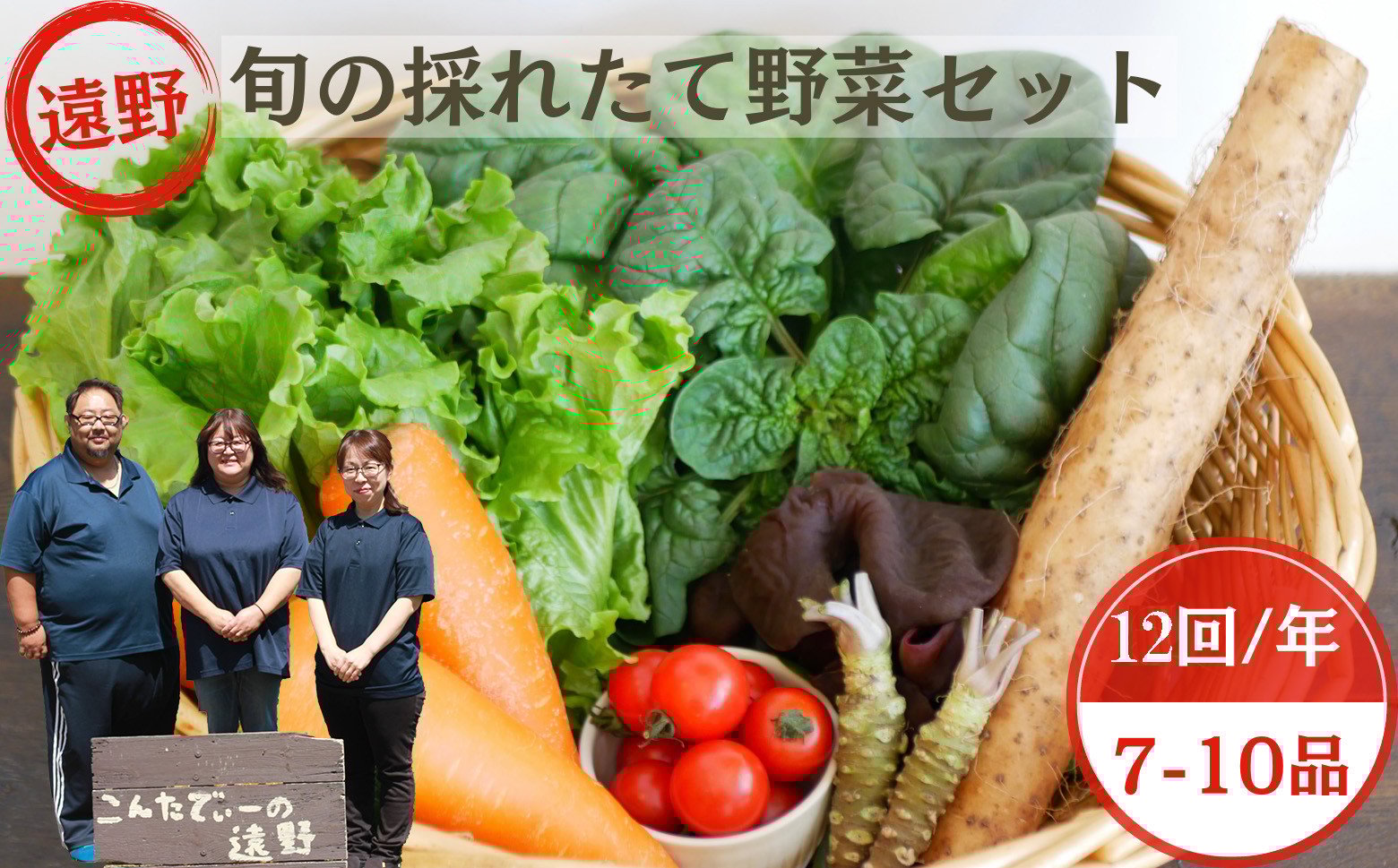 
            【 12回 定期便 】 旬 採れたて 野菜 詰め合わせ セット （7～10品）レギュラーサイズ【 こんたでぃーの遠野 】
          
