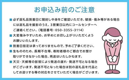 厳選 瀬戸ジャイアンツ 2房 合計1.2kg以上  産地直送 朝採れ ぶどう 葡萄 Kawahara Green Farm 岡山県産 2024年 [No.5220-1436]