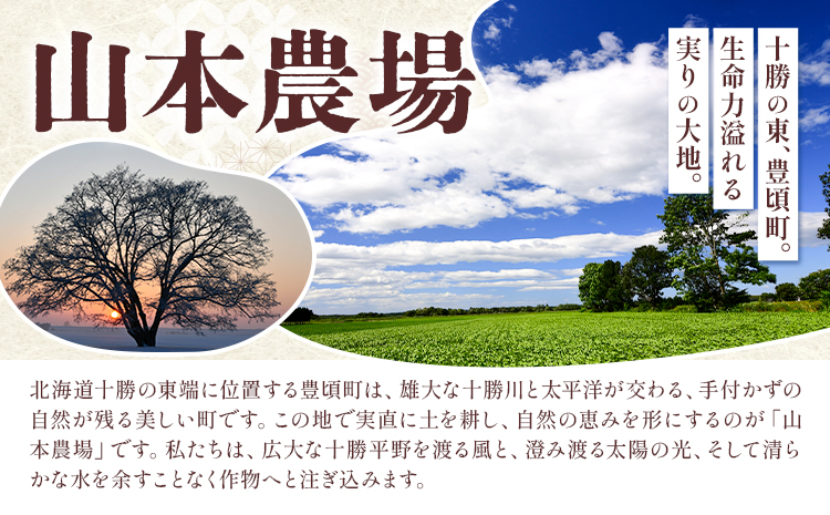 十勝とよころの小豆 きたほたる小豆 白小豆 3.2kg 山本農場《30日以内に出荷予定(土日祝除く)》北海道 十勝 豊頃町 特産 農家直送 とよころ あずき しょうず まめ 豆 白あん---toyok