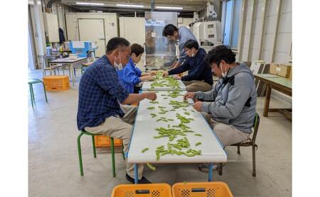 あけぼの大豆の枝豆（300g×5袋）身延町 えだまめ お取り寄せ