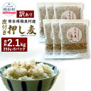 【ふるさと納税】【訳あり】皮付き押し麦 合計2.1kg 350g×6パック 食物繊維たっぷりもち麦！ 相良村産 国産 熊本県産 もち麦 もちむぎ 簡易包装 送料無料