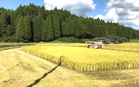 【令和7年産】≪先行予約 2025年11月発送開始≫えびの産 ヒノヒカリ やまのおこめ 5kg 白米 お米 米 国産 宮崎県  送料無料