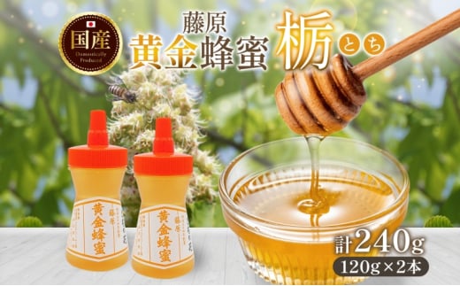 藤原黄金蜂蜜 栃 計240g はちみつ とち 国産 単花蜜 朝しぼり 完熟 ハチミツ パン 菓子 トースト ホットケーキ ヨーグルト 調味料 隠し味 お取り寄せ ポリ容器 常温 常備 送料無料 藤原養蜂場 岩手県 盛岡市