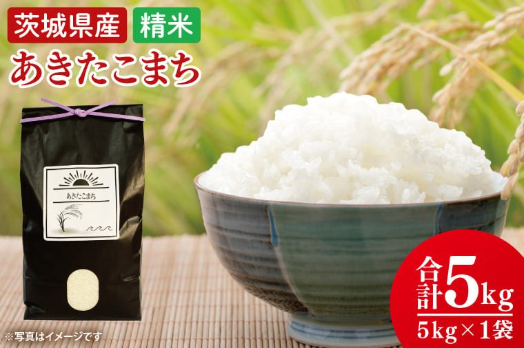 
            【令和7年8月中旬発送】【数量限定】あきたこまち精米５ｋg【米 おこめ 農家直送 直送 茨城県 阿見町】（52-01-2）
          