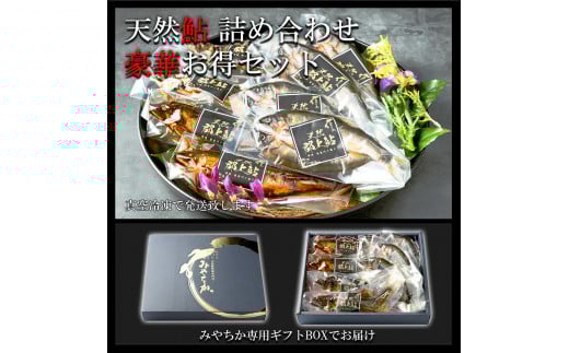 【G0094】天然鮎専門店みやちかの【天然鮎詰め合わせ】長良川郡上鮎 食品  魚介類 水産加工品  加工品  その他