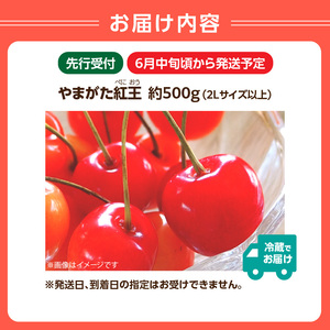 《先行受付》さくらんぼ 山形紅王（やまがたべにおう）約500g (2Lサイズ以上) 【2026年6月中旬～順次発送予定】 022-012
