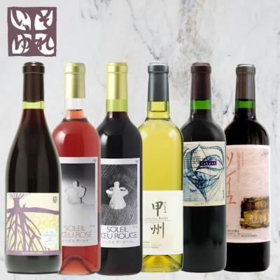 ふるさと納税 山梨市 旭洋酒　山梨ワイン満喫6本セット