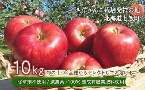 【先行予約】北海道七飯町産 りんご 10kg 減農薬 有機質肥料使用 NAR003