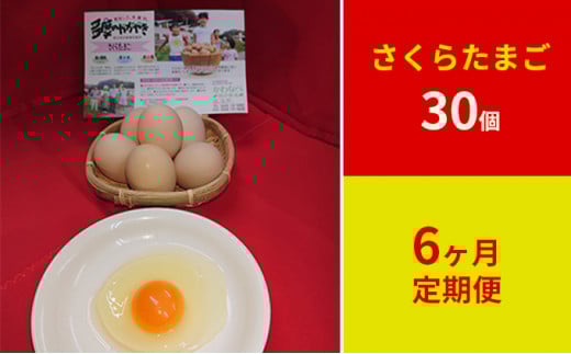 【定期便】かわなべ鶏卵農場のこだわりのたまご　さくらたまご30個　6ヶ月連続お届け [№5714-0140]