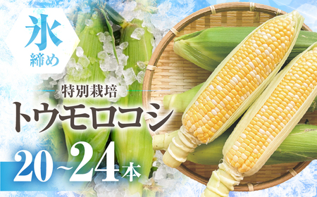 【先行予約】氷締めとうもろこし バイカラー 20本～24本 寺田さんちのとうもろこし