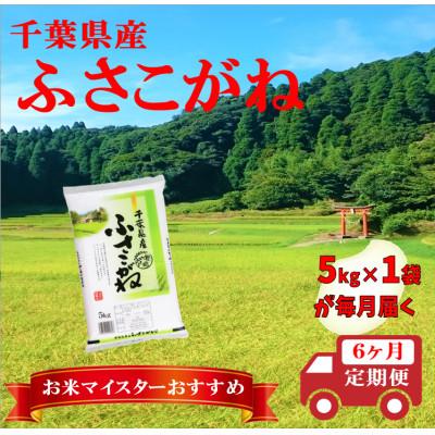 ふるさと納税 大網白里市 【毎月定期便】ふさこがね 精米 5kg (5kg×1袋)全6回 | 