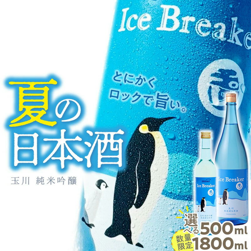 【ふるさと納税】高評価★5.0 高レビュー★ なかなか手に入らない限定夏酒 【木下酒造】玉川 純米吟醸 Ice Breaker　500ml 1800ml 選べる 内容量 お酒 酒 酒好き 日本酒 ロック お祝い 誕生日 手土産 京都 地酒 数量限定 プレミアム お試し ふるさと納税 日本酒 アルコール