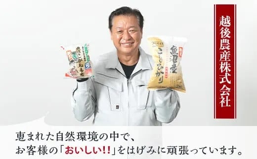 C2-7M106B【6ヶ月連続お届け】新潟県魚沼産特別栽培米コシヒカリ無洗米10kg（5kg×2袋）（長岡川口地域）