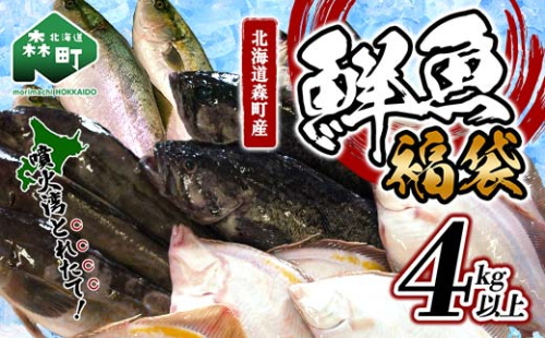 北海道森町産 噴火湾とれたて鮮魚福袋4kg以上 アブラコ（アイナメ） カレイ類 カジカ ソイ ガヤ ニシン 福袋 鮮魚 海鮮 セット 焼き魚 煮付け 鍋 ふるさと納税 北海道 森町 mr1-0149