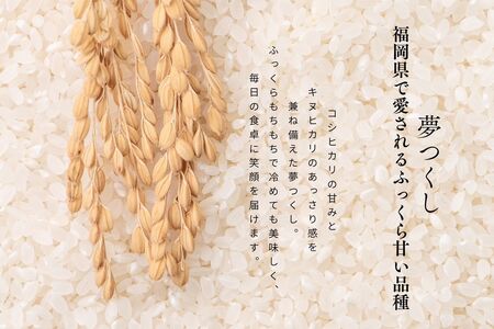 【令和7年産】福岡県飯塚市産 夢つくし 10kg(玄米)【C7-017】