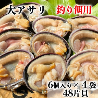 
                  岬だよりの＜天然＞大あさり釣り餌用 6個入り×4袋セット
                