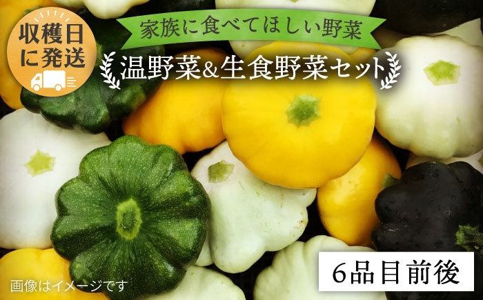 
                  【 栽培期間中農薬 ・ 化学肥料 不使用 】 温野菜＆生食野菜セット （ 6品前後 ） 《糸島》【オーガニックナガミツファーム】 	[AGE015]
                
