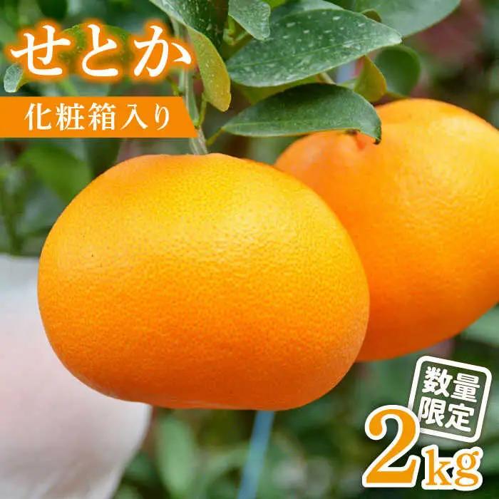 【2027年2月-発送】せとか2kg [SAC002] せとか